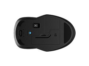 Mouse HP 250 Dual Mouse (6V2J7AA)
