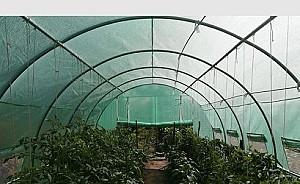 Peliculă pentru sere Tehno Ms Pelicula pentru sera 4.5x3x2m