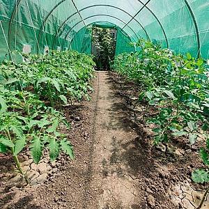 Peliculă pentru sere Tehno Ms 4x3x2m