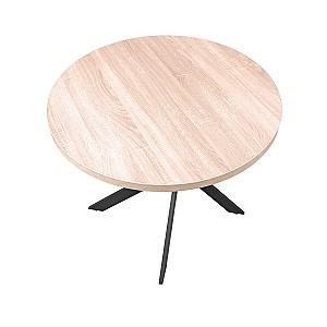 Masa DP Torino Rondo Sonoma 900