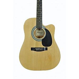 Chitara electro-acustica Flame  DG 100 CT NA