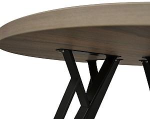 Masa DP Tokyo Rondo 1000 Ulm