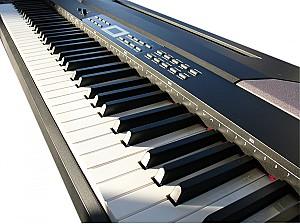 Pian digital Clifton DP2600