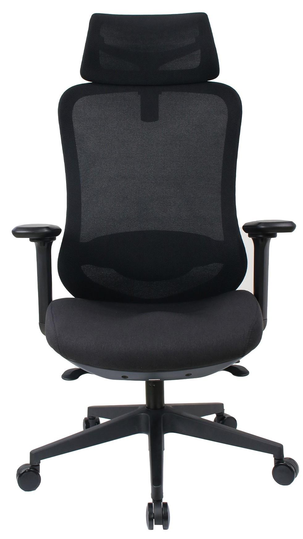 Fotoliu de birou DP Palmer Black