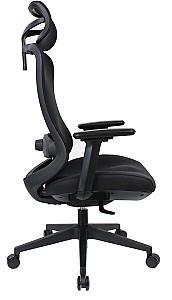 Fotoliu de birou DP Palmer Black