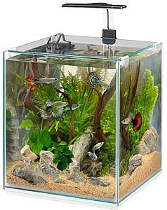 Acvariu Ferplast Tonga 25