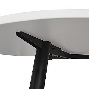 Masa DP Fusion Rondo 3