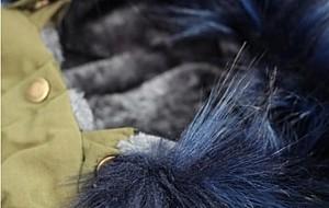  Record ANORAK Green/Blue S