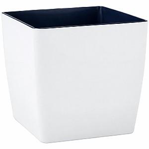  Aleana Cvadro 22x22x21