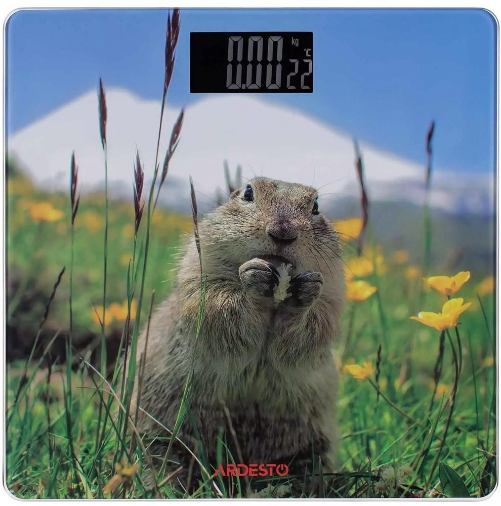 Cantar electronic Ardesto 965MATTERHORN