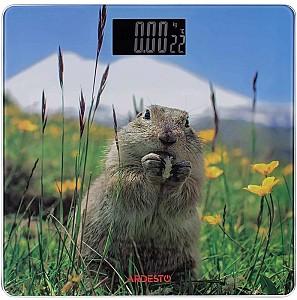 Cantar electronic Ardesto 965MATTERHORN