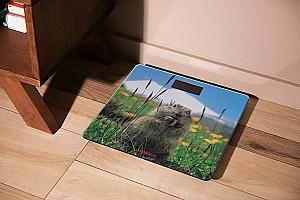 Cantar electronic Ardesto 965MATTERHORN