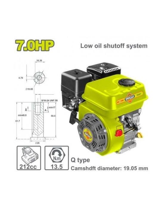 Motor pentru motocultor DYLLU DTGNAA170Q