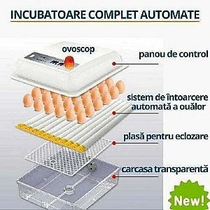 Incubator Demetra DM-36