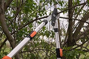 Foarfece de crengi DAEWOO DAHW-CAL103TL