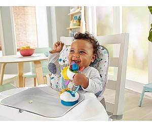 Jucarie bebelus Fisher  price Plane (GWW53)