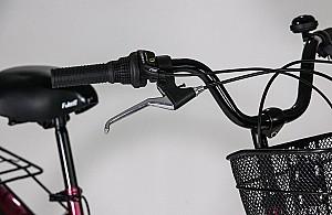 Bicicleta de oras Fulger Street 1.0