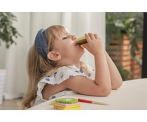 Set de jucarii VIGA 50810