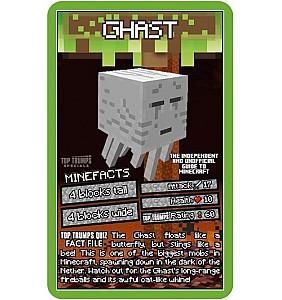 Joc de masa Winning Moves Top Trumps „Minecraft” (EN)