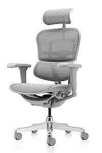 Fotoliu de birou Comfort Ergohuman Ultra Natural T-168-B2 EHU-AG-HAM-4D