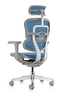 Fotoliu de birou Comfort Ergohuman Ultra Cobalt T-168-B4 EHU-AG-HAM-4D