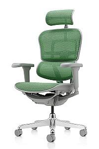 Fotoliu de birou Comfort Ergohuman Ultra Green T-168-B6 EHU-AG-HAM-4D