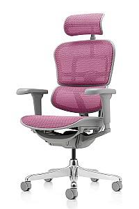 Fotoliu de birou Comfort Ergohuman Ultra Pink T-168-B5 EHU-AG-HAM-4D