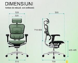 Fotoliu de birou ART Ergohuman Elite 2 Black T-168-B1 EHE2-AB-HAM-5D-L