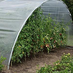 Seră de tip tunel Demetra 45 m2 10x4.5x2.5 m