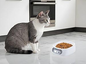 Bol de hrana pentru caini Easy Pet IMPCBA110