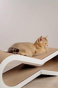 Ansamblu pentru pisici MurMarket Tiny Tiger S