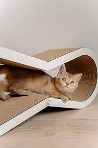 Ansamblu pentru pisici MurMarket Tiny Tiger M