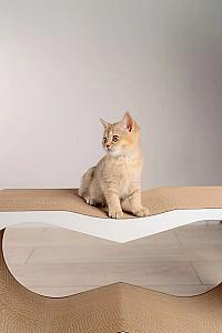 Ansamblu pentru pisici MurMarket Tiny Tiger XL