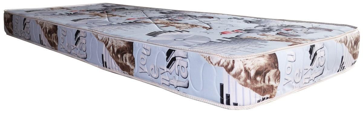 Saltea Viitorul 110x197 cm