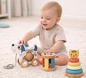 Set de jucarii Tooky Toy TP516