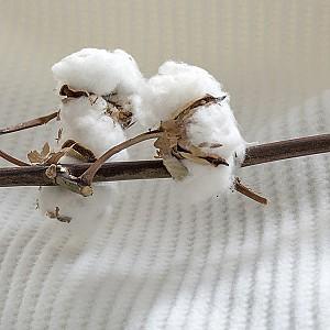 Cuvertura MobiCasa Adina 200x220 Milk