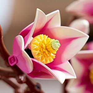 Constructor LEGO Botanicals: Magnolia Branches (11510)