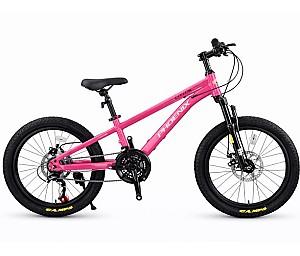 Bicicleta copii New World XING TU Pink