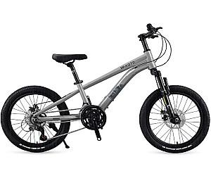 Bicicleta copii New World YUE FENG Grey