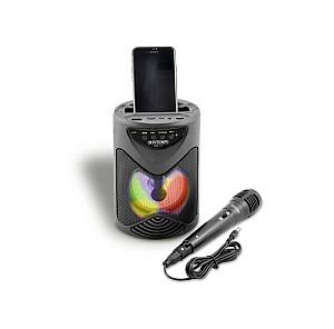 Jucarie muzicala Bontempi 491010