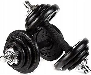 Haltera Zipro Iron Dumbbell Set