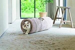 Jucarie pentru pisica Beeztees RIBBER Pink