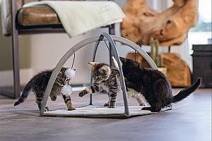 Ansamblu pentru pisici Beeztees Xabia (619954)