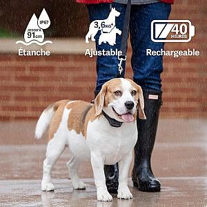 Zgarda pentru caini PetSafe Audible Bark Collar EU