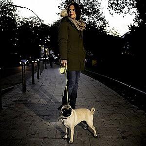 Ham pentru caini Beeztees Flexi New Classic Neon Tape M 5m