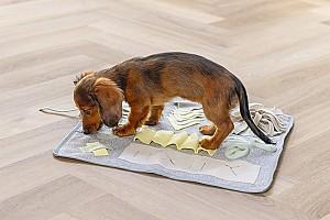 Jucarie pentru caine Beeztees Puppy Doeka Snuffelmat