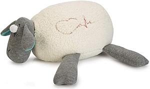 Jucarie pentru caine Beeztees Heartbeat