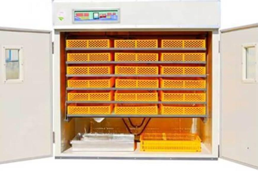 Incubator Tehno Ms MS-1584
