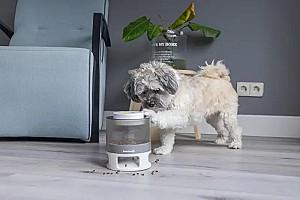 Jucarie pentru caine Beeztees Delicious