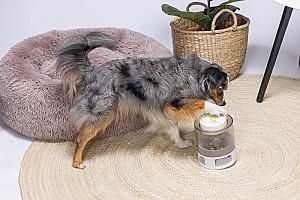 Jucarie pentru caine Beeztees Delicious